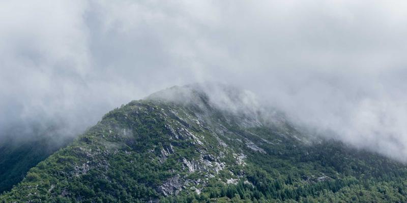揭秘江苏迪希姆：如何借仿真与虚拟调试技术，将非标自动化项目交付周期缩短30%以上