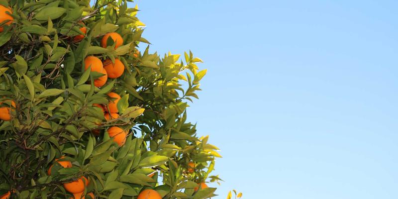 数据驱动智造:看江苏迪希姆如何借工业互联网平台,让机械加工设备“开口说话”