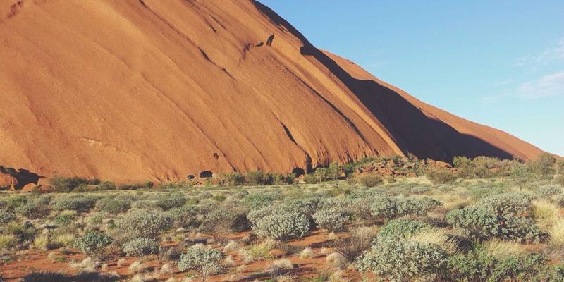江苏迪希姆：以精密直线电机模组技术，重塑高速高精度激光切割设备新标杆