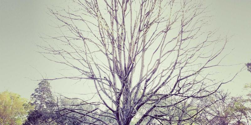 破解高精度制造瓶颈:江苏迪希姆多轴协同控制技术如何重塑机器人复杂轨迹规划