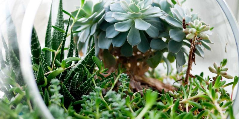 精密之翼：江苏迪希姆如何以智能制造攻克航空航天测试设备的核心挑战