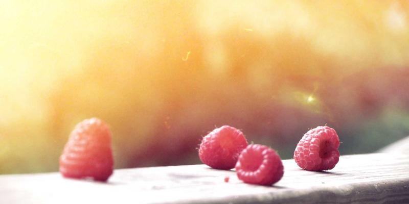 精密智造，合规先行：江苏迪希姆如何以自动化生产重塑医疗器械制造新标杆